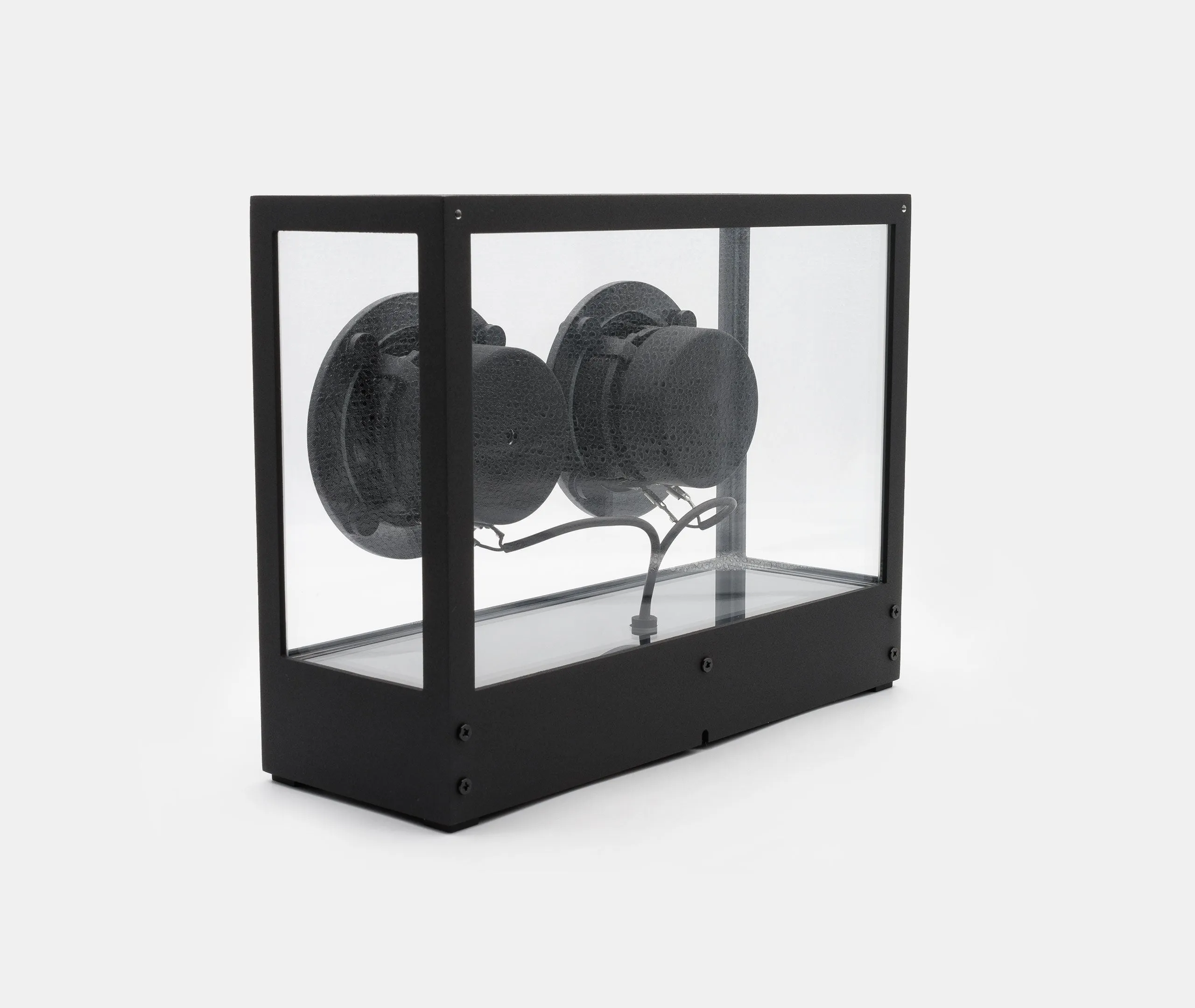 Small Transparent Speaker - Black