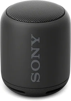 Sony - XB10 Portable Wireless Speaker - Black